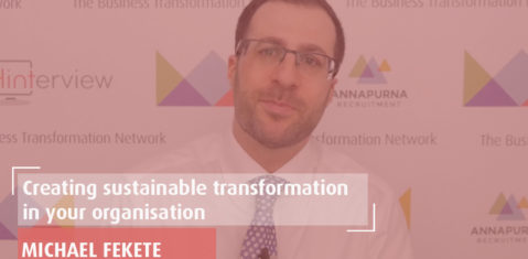 Creating Sustainable Transformation in your Organisation by Michael Fekete Preview